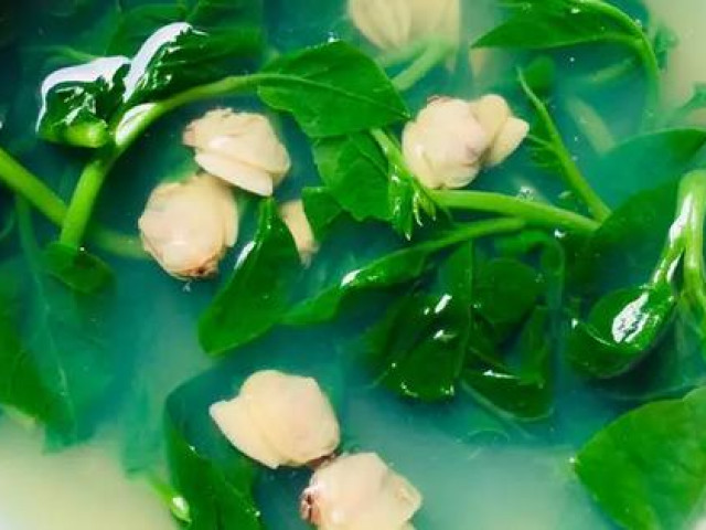 Ẩm thực - Mùa hè ăn rau mùng tơi thế này chẳng khác nào "thuốc độc", nhất định phải biết để tránh