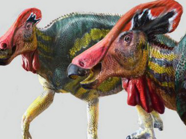 Phi thường - kỳ quặc - Phát hiện loài khủng long... biết nói sống ở Mexico 72 triệu năm trước