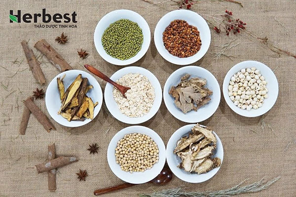 HerBest và hành trình tạo dựng thương hiệu tinh hoa thảo dược sạch - 2