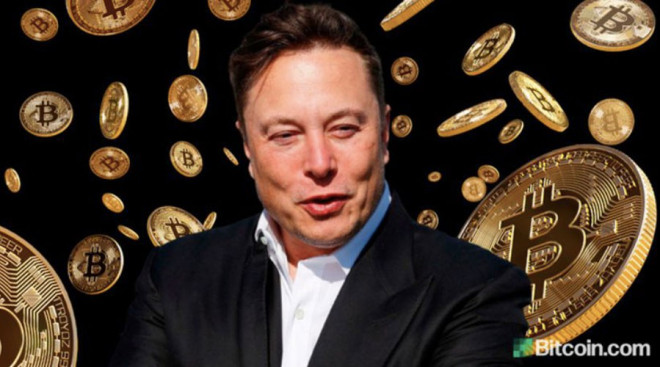 Ông chủ Tesla Elon Musk khiến các đồng tiền ảo liên tục chao đảo (ảnh lớn) và bài đăng quảng bá về tiền ảo của khá nhiều người là nghệ sĩ nổi tiếng. Ảnh: TL