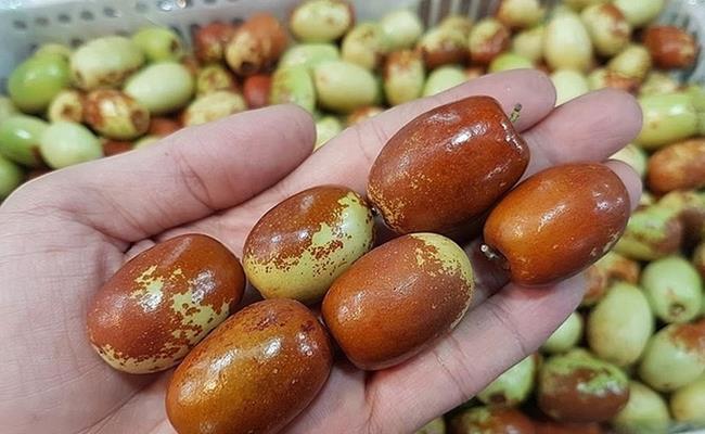 Khi chín, táo chuyển sang màu thâm xỉn, nâu cánh gián khiến nhiều người nhầm tưởng là quả bị thối hỏng.