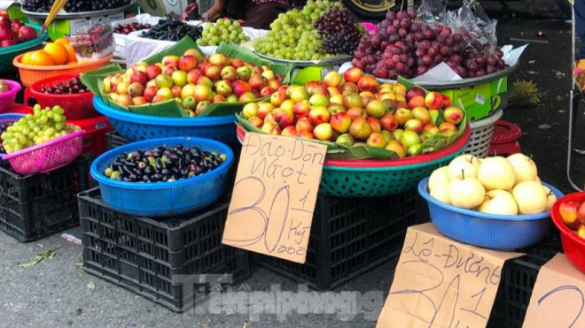 Đào "đội lốt" Sapa đỏ mọng, to tròn nhìn rất đẹp mắt