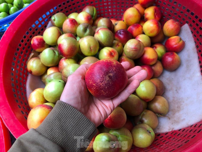 Những quả chín thì mềm nhũn, ăn lạt lẽo chứ không ngọt thơm