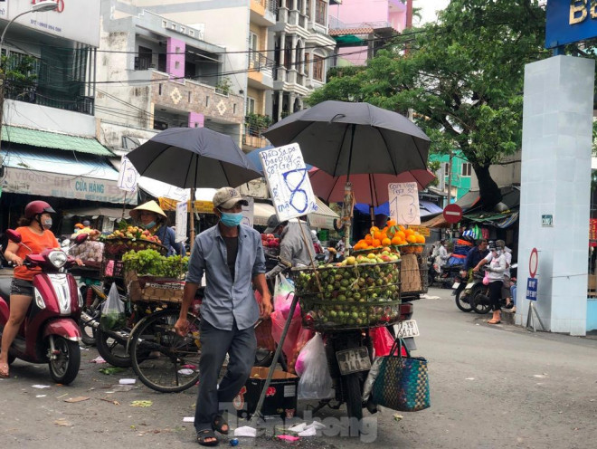 Đào "đội lốt" Sapa chỉ 20.000 đồng/kg - 8