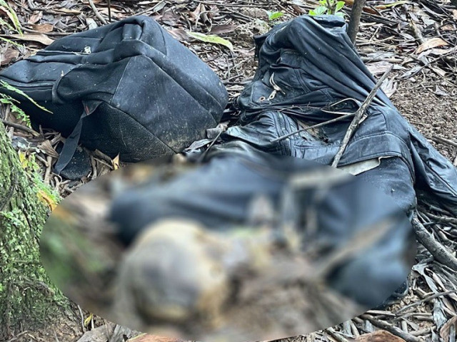 Pháp luật - Phát hiện thi thể không nguyên vẹn trong rừng tràm