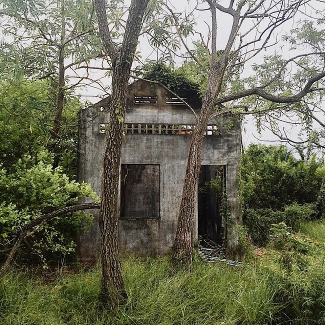 Chủ nhân của ngôi nhà này là anh Bùi Đình Chương (SN 1985), trú tại 25 Hồ Văn Nhánh, P5, TP Mỹ Tho (Tiền Giang) cho biết, đây là căn chòi dùng để ở tạm, canh giữ vườn trái cây của gia đình.
