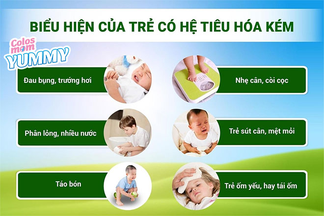 Colosmom Yummy – 3 tầng “miễn dịch” cho con một hệ tiêu hóa và sức đề kháng khỏe mạnh - 2