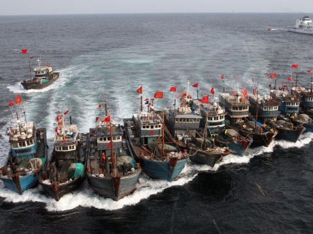 Thế giới - Hàn Quốc tố hàng trăm tàu Trung Quốc đánh bắt hải sản trái phép