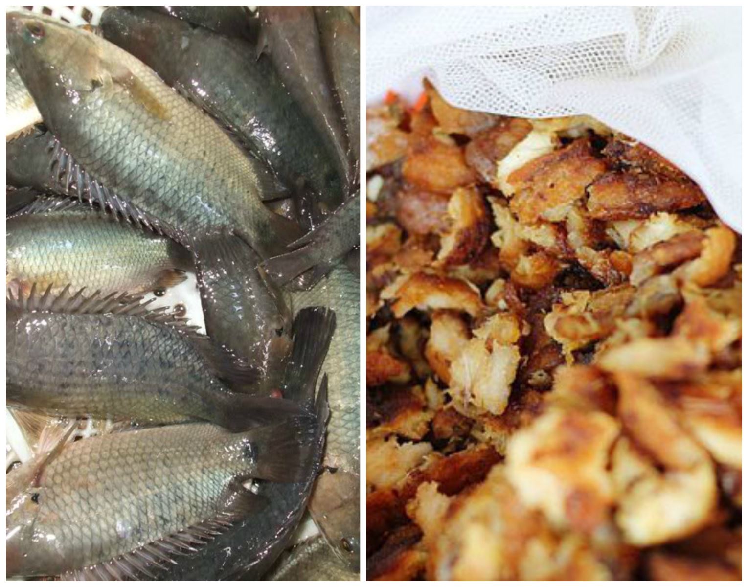 Canh cá Quỳnh Côi: Món đặc sản không nên bỏ lỡ khi đến Thái Bình - 3