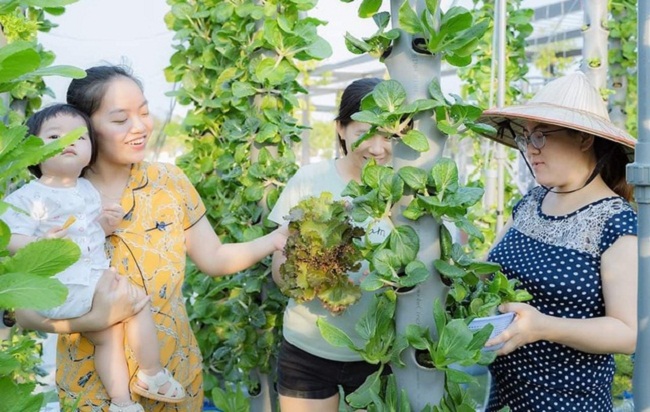 Ngoài cung cấp rau sạch cho gia đình, anh Hòa còn cho cư dân chung cư thuê lại&nbsp;theo từng module. Mỗi module là 6 trụ, có 234 hốc trồng cây, trung bình mỗi tháng thu hoạch khoảng 30kg rau các loại, với chi phí&nbsp;là 900 nghìn đồng/ tháng.
