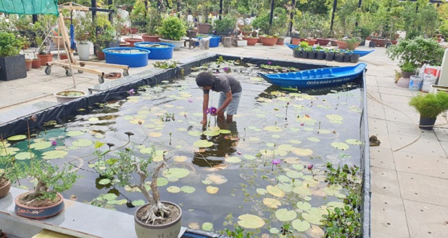 Sân 2.000m2 trên nóc chung cư biến thành khu vườn thượng uyển xanh mát mắt - 9