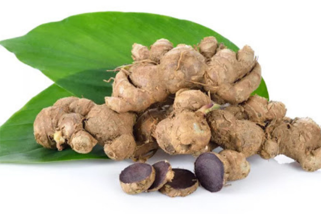 Trong dầu gội ngải cứu - Gừng đen được xem là “chiến binh” diệt nấm tận gốc nhờ chứa nhiều hoạt chất kháng khuẩn hơn so với gừng thông thường 