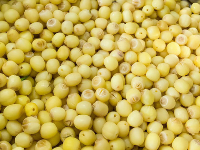 Ẩm thực - Đọc ngay hướng dẫn này, hạt sen để cả năm vẫn thơm mùi, trắng tinh như vừa mới hái