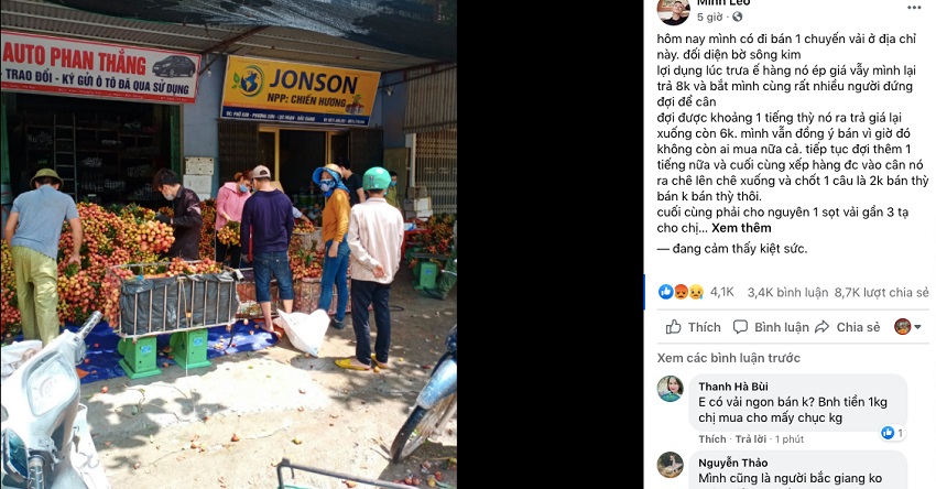 Thông tin chia sẻ vài thiều ở Bắc Giang bị ép giá xuống 2.000 đồng/kg là không đúng sự thật.