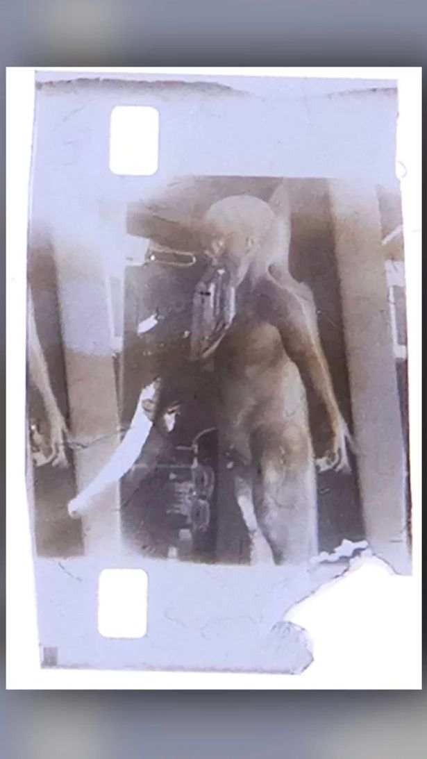 Hình ảnh được cho là lấy từ video về 'người ngoài hành tinh' trong vụ rơi UFO ở Roswell, Mỹ, được đấu giá với mức khởi điểm 1 triệu USD. Ảnh: Rarible