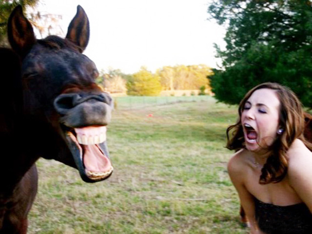 Tranh vui - Bật cười với những con người khó đỡ nhất trên đời này