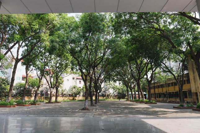 Bộ ảnh bế giảng cuối năm sân trường không một bóng người khiến teen cuối cấp ngậm ngùi - 6