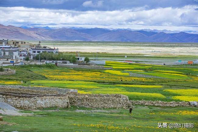 Vào thời điểm này, một ngôi làng điển hình của người Tây Tạng đã xuất hiện, đó là làng Mu. Ngôi làng nhỏ sẽ được bao quanh bởi những bông hoa cải, tạo thành một bức tranh sơn dầu tuyệt đẹp với bầu trời xanh, mây trắng và những ngọn núi phủ đầy tuyết trắng.
