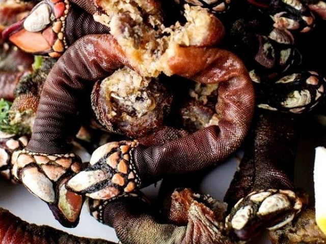 Ẩm thực - Vẻ ngoài dị thường của đặc sản "ngón tay thần chết"