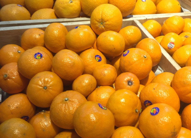Trái cây họ cam quýt rất giàu vitamin C. Ảnh: NHẬT LINH