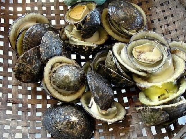 Thị trường - Tiêu dùng - Tiết lộ về những hải sản ở Việt Nam được sách kỷ lục ghi danh, có loại nhìn đã thấy "rùng mình"