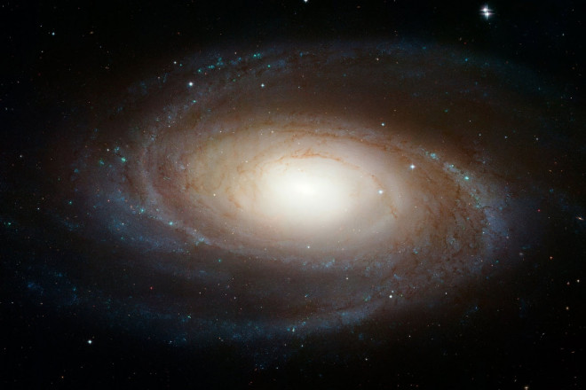 Thiên hà M81 - Ảnh: NASA/JPL-Caltech