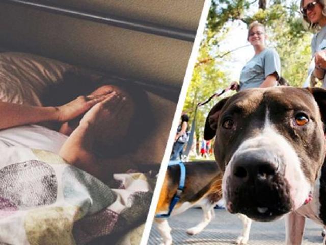 Làm đẹp - 10 lời khuyên giảm cân thành công của người đàn ông từng nặng tạ rưỡi