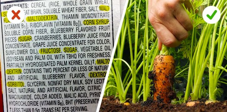 10 lời khuyên giảm cân thành công của người đàn ông từng nặng tạ rưỡi - 5