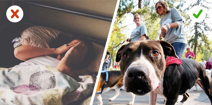 10 lời khuyên giảm cân thành công của người đàn ông từng nặng tạ rưỡi - 6