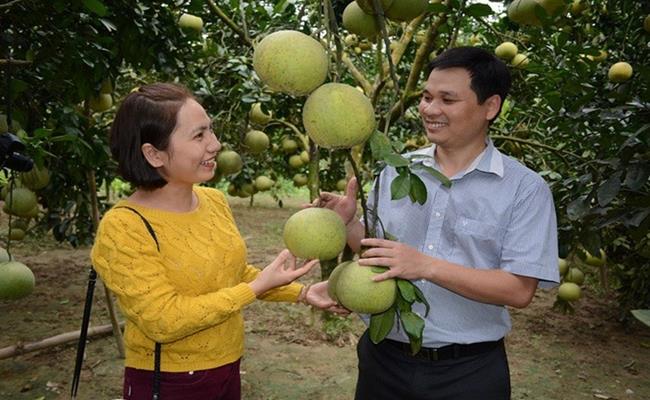 Ngày 16/11/2016 Cục Sở hữu Trí tuệ (Bộ Khoa học và Công nghệ) cấp nhãn hiệu bảo hộ độc quyền “Bưởi Đại Minh” cho huyện Yên Bình.
