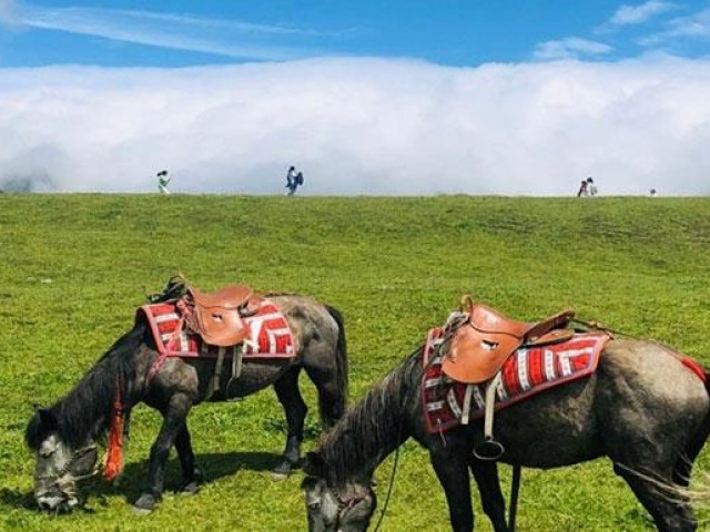 Du lịch - Dạo quanh Ngọc Long Tuyết Sơn