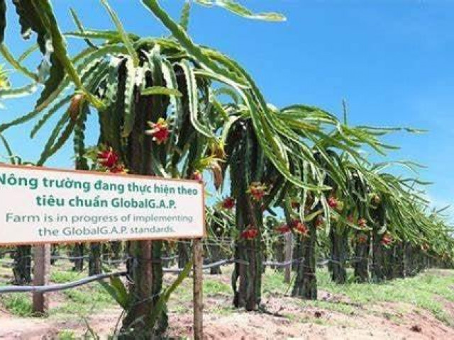 Kinh doanh - Bầu Đức tiếp tục bán vốn công ty nông nghiệp, thu về 850 tỷ đồng