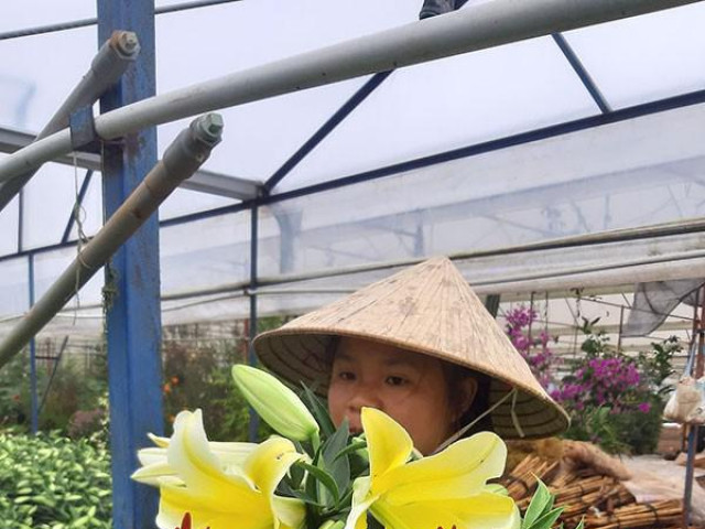 Thị trường - Tiêu dùng - Chống dịch "quá tay", nông sản lao đao
