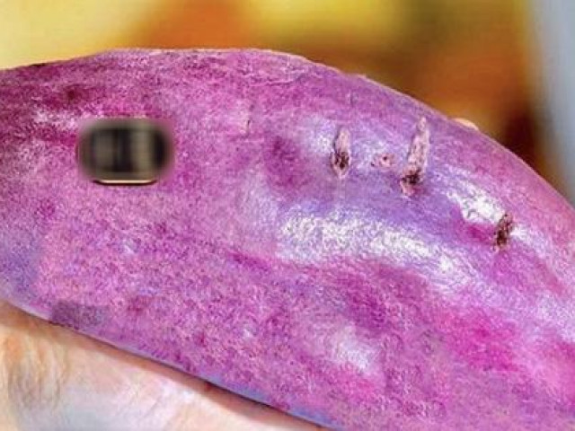 Thị trường - Tiêu dùng - Khoai lang 500.000 đồng/củ, dân Việt vẫn bỏ tiền ăn đủ thấy độ "chịu chơi" không hề thua kém các nước khác