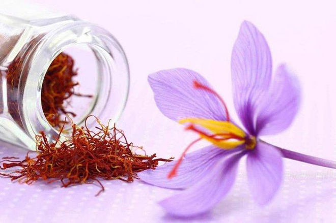 Nhuỵ hoa nghệ tây – vàng đỏ của Trung Đông