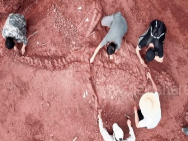 Media - Phát hiện hóa thạch khủng long khổng lồ 180 triệu năm tuổi