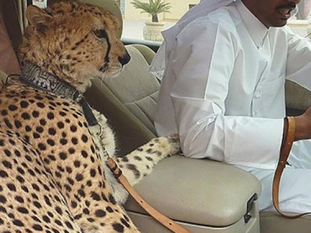 Kinh doanh - Hình ảnh từng "gây sốc" tại nơi đội tuyển Việt Nam thi đấu vòng loại World Cup 2022