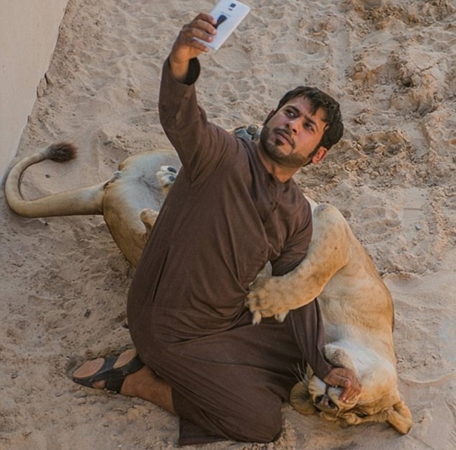 Họ nuôi cả thú dữ trong nhà để tạo sự đẳng cấp. Humaid AlBuQaish là một người có bộ sưu tập những con thú hoang dã. Người này cũng đăng lên mạng xã hội hình ảnh chụp cùng hổ, báo, sư tử...
