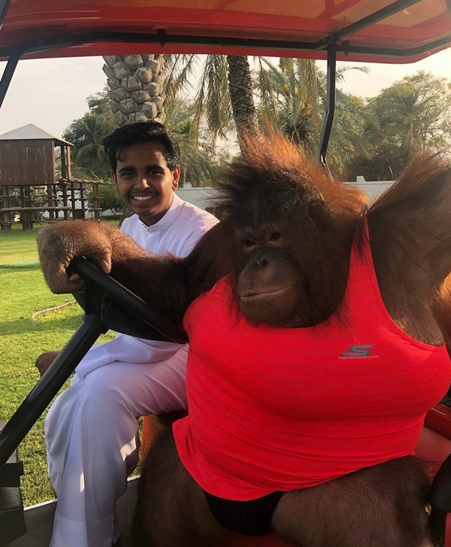 Nhiều ngôi sao từng ghé thăm “vườn thú mini” của anh chàng này như: Akon, Wiz Khafila, Thành Long, Cristiano Ronaldo, Messi, Mariah Carey.

