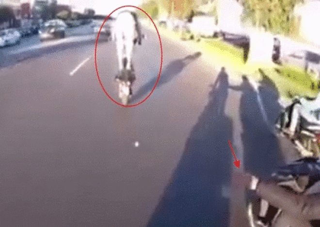 Video: Đứng lái xe máy, bị người đi đường vỗ mông, tông thẳng đuôi ô tô - 1