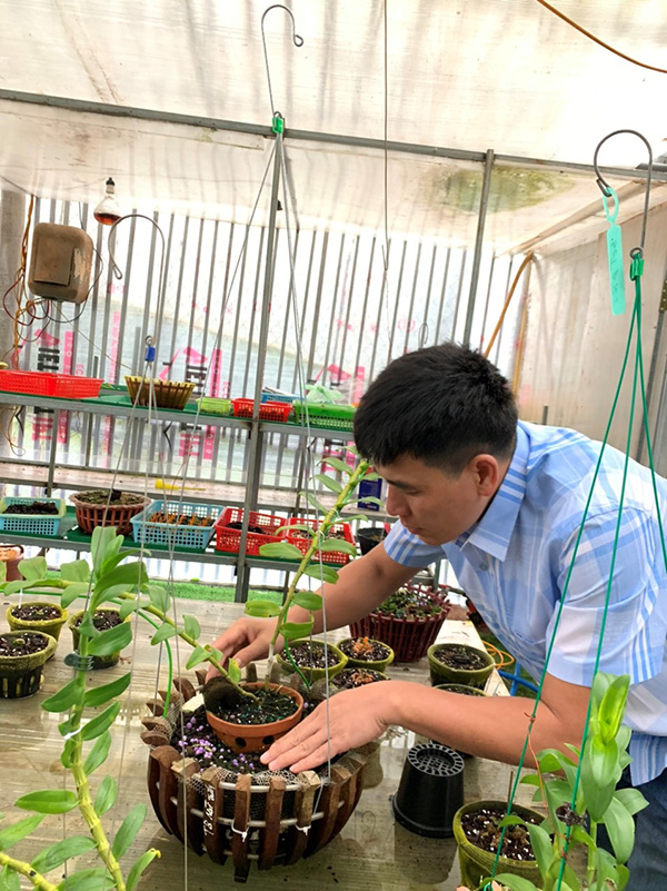 Nghệ nhân Nguyễn Thành Chuyên “tiết lộ” bí quyết thành công với hoa lan - 2