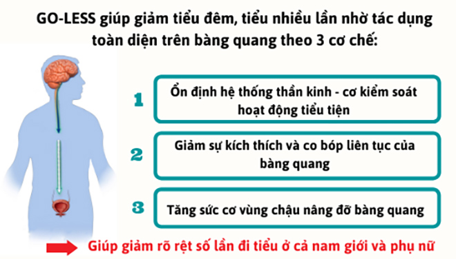 Đi tiểu liên tục 2-3 lần trong đêm, ban ngày cứ 1 tiếng buồn tiểu 1 lần!? - Chuyên gia tiết lộ thủ phạm này! - 3