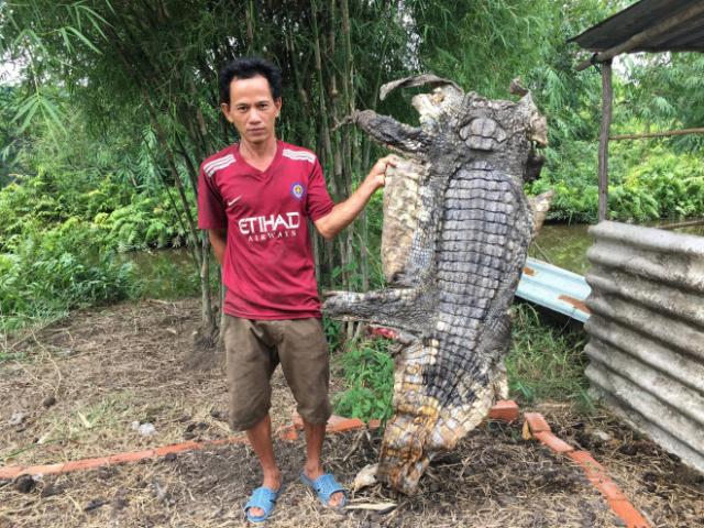 Tin tức trong ngày - "Có khả năng một số người đã thả cá sấu ra ngoài tự nhiên"