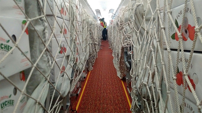 Hỗ trợ nông dân Bắc Giang, Vietjet và Swift247 chung tay vận chuyển vải thiều - 3