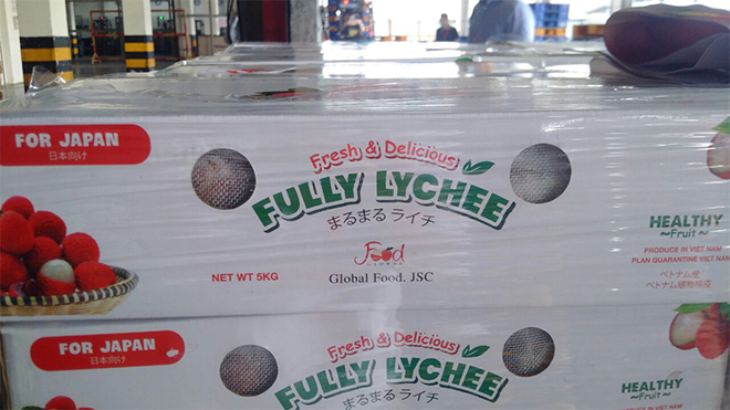 Hỗ trợ nông dân Bắc Giang, Vietjet và Swift247 chung tay vận chuyển vải thiều - 2