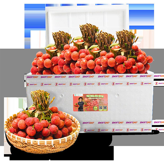 Hỗ trợ nông dân Bắc Giang, Vietjet và Swift247 chung tay vận chuyển vải thiều - 1