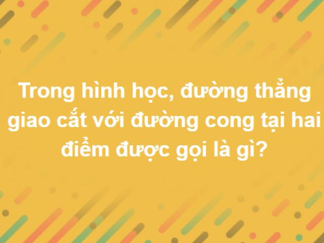 Giáo dục - du học - Bộ câu hỏi thử thách tầm hiểu biết của bạn