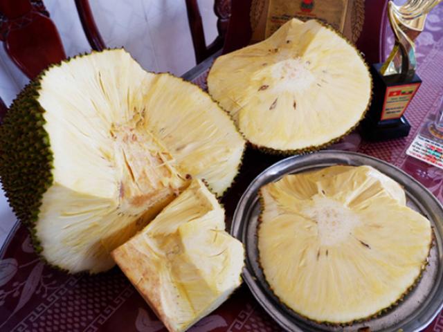 Thị trường - Tiêu dùng - Trái mít không hạt khiến dân mạng sửng sốt, đã vậy còn có vị như sữa chua