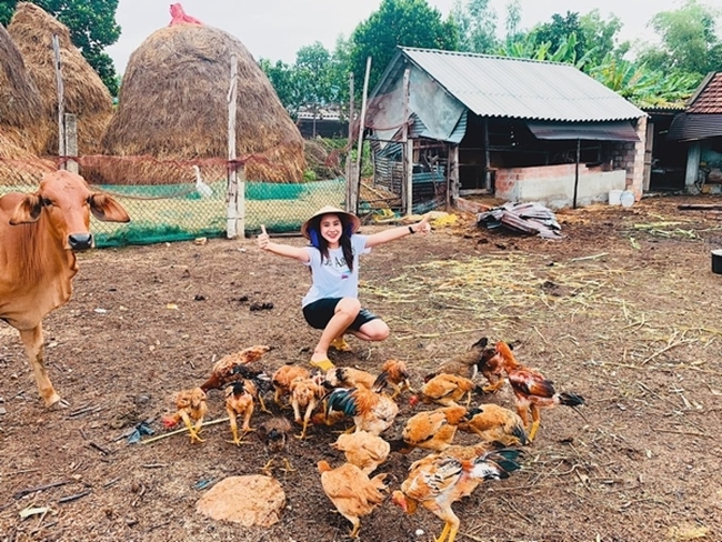 Mỗi lần về quê, Hồ Bích Trâm không ngại ra đồng gặt lúa, chăn đàn gà giúp gia đình.

