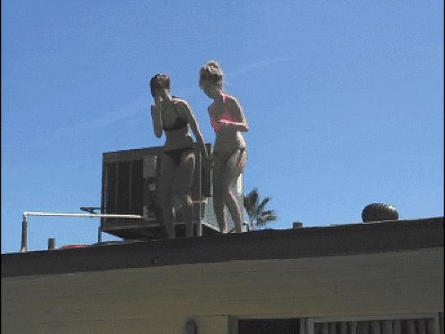 Tranh vui - Khi tài năng bản thân có hạn thì đừng bao giờ thể hiện!